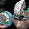 EEG software - CURRY 9 I - Compumedics Neuroscan - data analysis