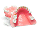tooth model / gingival / for implantology / training