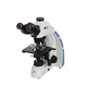 optical microscope / laboratory / education / clinical