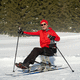 active dualski / adult / aluminium frame