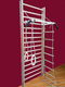 rehabilitation wall bars