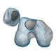 primary patello-femoral prosthesis / cementless