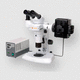 optical stereo microscope / laboratory / binocular / LED