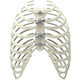 sternal closure bone cerclage wiring / multifilament polymer