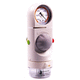 rail-mounted vacuum regulator