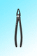 canine teeth dental extraction forceps / atraumatic / upper anterior / for upper incisors