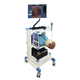 bronchoscopy simulator / training / for general care