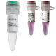 enzyme reagent kit / dye / RT-qPCR
