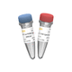 DNA ligase reagent / enzyme / nucleic acid / for research