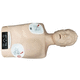 training simulator / CPR / for general care / torso