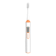 electric toothbrush
