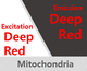 dye reagent / cell imaging / lyophilized