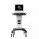 on-platform ultrasound system / for abdominal and pelvic ultrasound imaging / for gynecological and obstetric ultrasound imaging / for multipurpose ultrasound imaging
