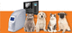 veterinary CR scanner / dental