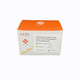 gastrointestinal disease detection kit / Helicobacter pylori / clinical / laboratory