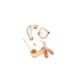 rectum model / bladder / male genitalia / bowel