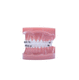 dental typodont / dental care / for demonstration / flexible