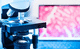 data management system / visualization / diagnostic / reporting