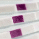 kidney disease test strip / AMP / urine / surface