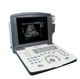portable ultrasound system / for gynecological and obstetric ultrasound imaging / for cardiovascular ultrasound imaging / for abdominal and pelvic ultrasound imaging