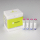 cancer detection kit / oncology / tissue / for real-time PCR