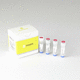 lung cancer rapid screening test / EML4-ALK fusion gene / FFPE tissues