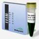 DNA ladder / for DNA quantification
