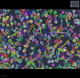 artificial intelligence software / inspection / image analysis / interpretation