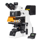 epifluorescence microscope / optical / for cytology / clinical