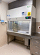 class II biological safety cabinet / for radiopharmacy / benchtop / stainless steel