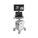 on-platform ultrasound system / for intraoperative ultrasound imaging / color doppler / 3D/4D