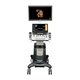 on-platform ultrasound system / for multipurpose ultrasound imaging / for gynecological and obstetric ultrasound imaging / for cardiovascular ultrasound imaging