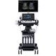 on-platform ultrasound system / for multipurpose ultrasound imaging / B/W / color doppler