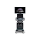 on-platform ultrasound system / for multipurpose ultrasound imaging / color doppler / B/W