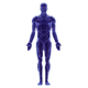 cardiology AI platform / for hospitals / for medical research / medical imaging