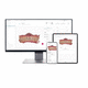 intraoral scanner software / for dental laboratories / for dental offices / orthodontic