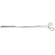 veterinary forceps / cervical biopsy