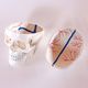 skull model / head / for teaching / with blood vessels