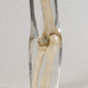 radiography test phantom / arm / elbow