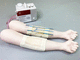 general care simulator / anatomy / training / intravenous injection