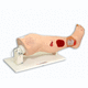 leg anatomical model / decubitus ulcer treatment / for teaching / training
