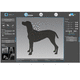 acquisition software / image enhancement / for veterinary radiology / veterinary dental