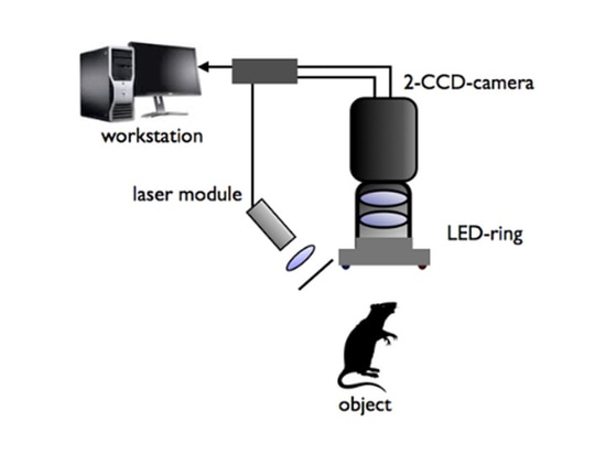 The Third Generation Laser Speckle Imaging System RFLSI-ZW is Coming Out Soon