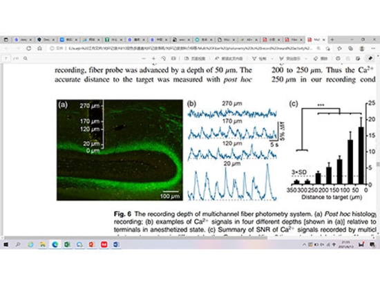 More About Fiber Photometry: Working Principle and Process