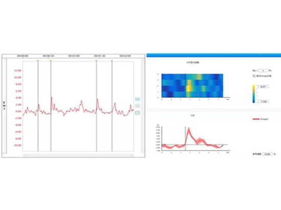 Han Qin, et al. Neurophoton, 2019