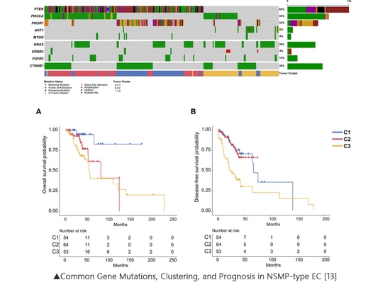 The Biomarkers of Subtypes in Endometrial Cancer