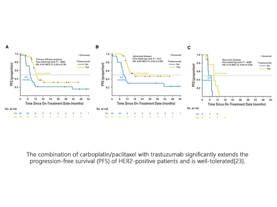 The Biomarkers of Subtypes in Endometrial Cancer