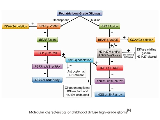 Is glioma classification too complicated? After reading this article, learn about the “brain killer”—glioma