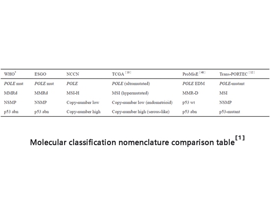 The 2023 FIGO staging of endometrial cancer includes molecular classification