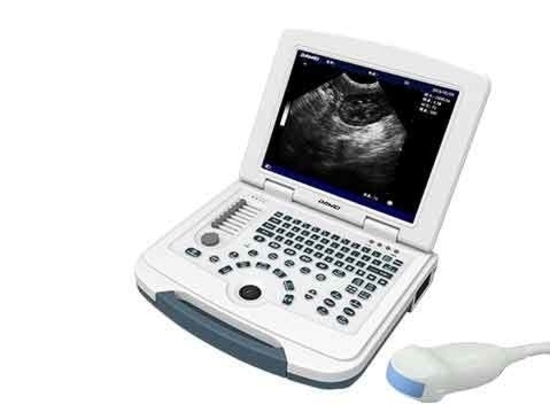 Dog Ultrasound Machine